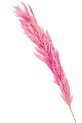 96B5C588-2477-490C-97EC-938107674876.png