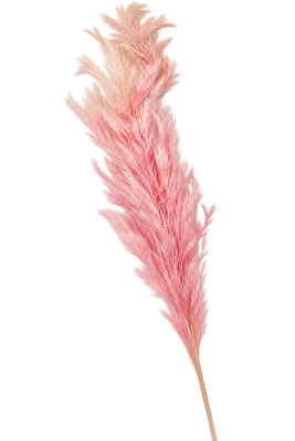 B7F31D9A-D9B4-454C-9626-76B9DF6B90E9.png