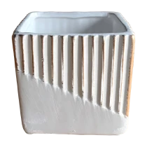 IMG_4614.png