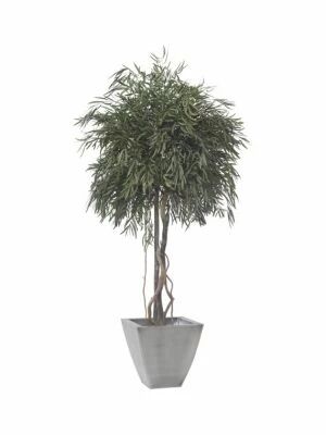 Arbre Stabilis� Nicoly Crown 2m
