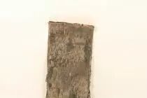 Birch Bark 50x20 Naturel ( x 5 )