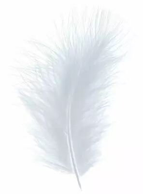 Boite de +/- 50 Plumes Gris