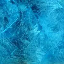 Boite de +/- 50 Plumes Turquoise