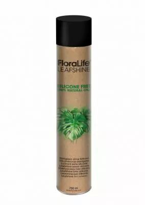 Bombe Oasis Floralife Leafshine Ecologique 750ml