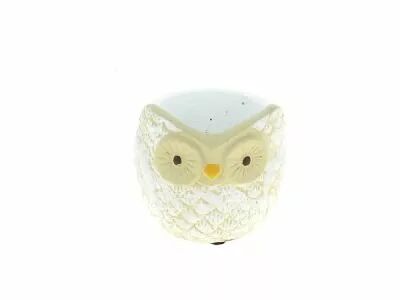 Cache Pot Ciment Hibou D6,5 H6,5 Blanc