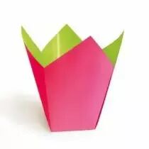 Cache Pot Stempo 10,5x10,5 H12 Fushia / Vert Anis ( x 25 )