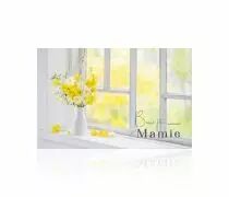 Carte Voeux Romantico \ Bonne F&ecirc;te Mamie\  ( x 10 )