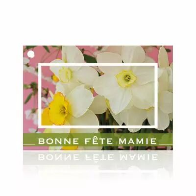 Cartes Voeux Brillant \ Bonne F�te Mamie\  ( x 10 )