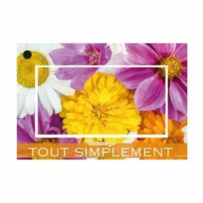 Cartes Voeux Brillant \ Comme �a tout simplement\  ( x 10 )