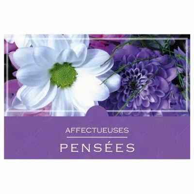 Cartes Voeux Grand Mod�le \  Affectueuses Pens�es \  ( x 10 )