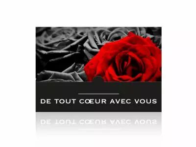 Cartes Voeux Grand Mod�le \  Sinc�res Condol�ances \  ( x 10 )