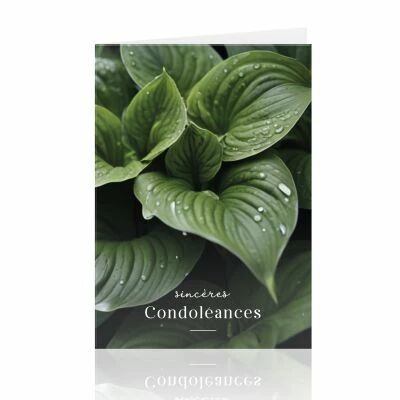 Cartes Voeux Grand Mod�le \  Sinc�res Condol�ances \  ( x 10 )