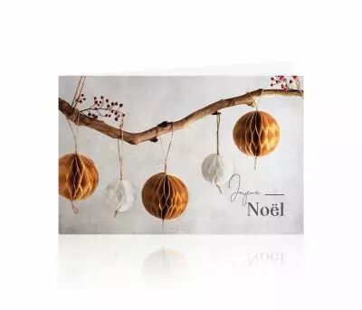 Cartes Voeux Romantico \ Joyeux No�l\  ( x 10 )
