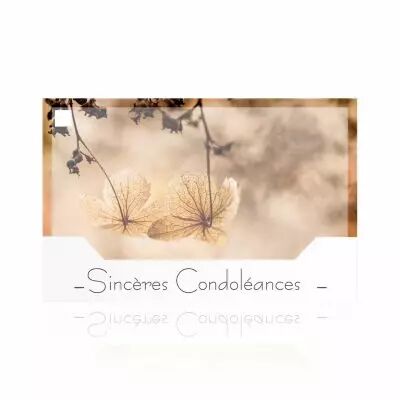 Cartes Voeux Silenzio \ Sinc�res Condol�ances\  ( x 10 )