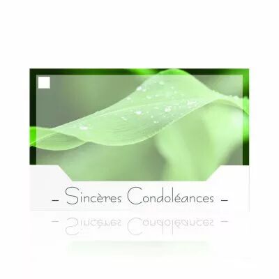 Cartes Voeux Silenzio \ Sinc�res Condol�ances\  ( x 10 )