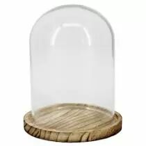 Cloche Verre D10 H14,5 sur Plateau Bois