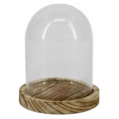 Cloche Verre D6 H8 sur Plateau Bois