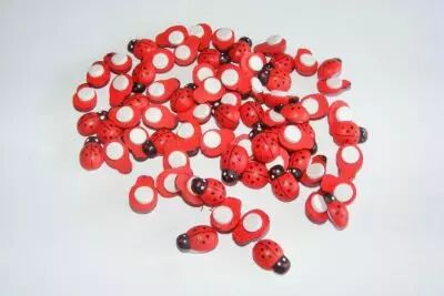 08071 coccin mm 13 sciolte