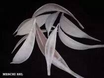 COCO MEDIUM WHITE WASH
