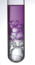 Colorant 150ml Violet