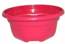 Coupe Nina Percée D26 H12,4 Framboise