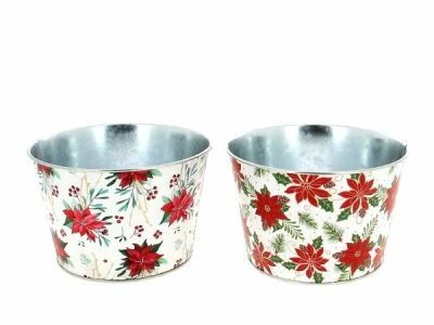 Coupe Zinc Poinsettia D15 H10 ass