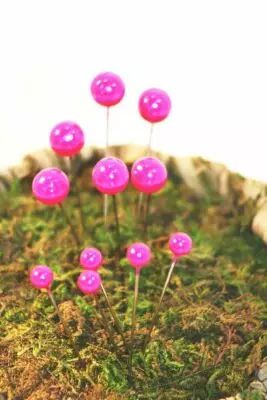 epingle_tete_6_et_10mm___fushia