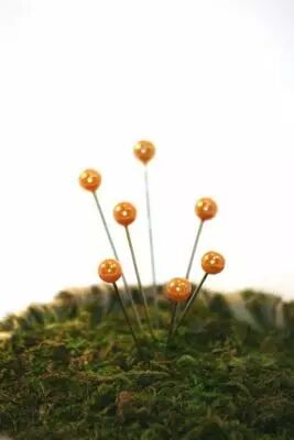 epingle_tete_6mm__orange