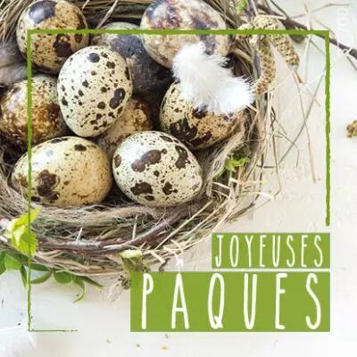 Etiquettes Voeux \ Joyeuses P�ques\  ( x 500 )