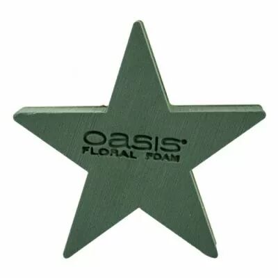 Etoile Oasis Bioline 30cm Vert ( x 2 )