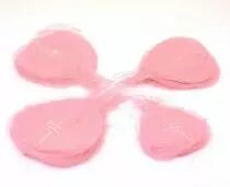 FEUILLES SQUELETTE-Rose
