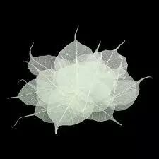 Feuilles Squelette Blanc ( x 200 )
