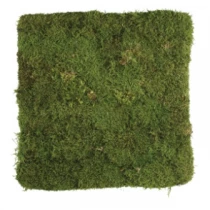 Flat moss panel 0,5x0,5 m