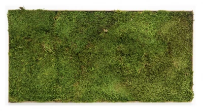 Flat moss tile 30x60 cm