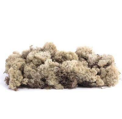 Mousse Lichen d\'Islande 500g Naturel