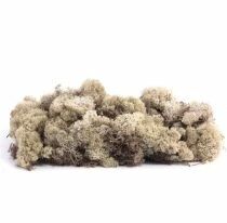 Mousse Lichen d\'Islande 500g Naturel