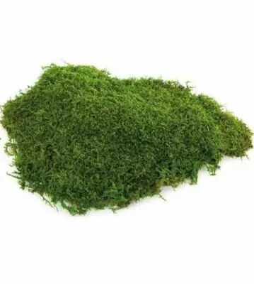 Mousse Stabilis�e 500g Vert