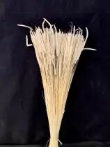 Phleum Wild 70cm Rose ( x 150g )