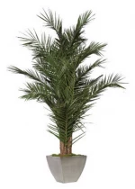 Phoenix palm tree kit 1,8 m