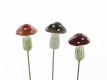 Pic Champignon 4,5x5,5 H20 Naturel ( x 12 )