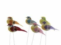 Pic Oiseau 9,5cm H15 ass ( x 12 )