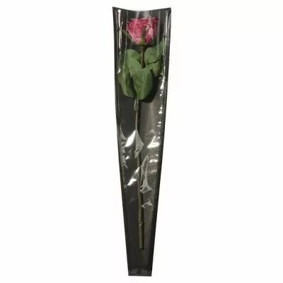 Poche � Rose Kraft 55x12x3 Noir ( x 50 )