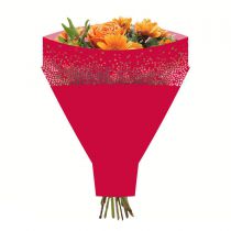 Poche Bouquet Horizon 50x54x15 Rouge ( x 50 )