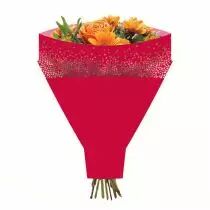 Poche Bouquet Horizon 50x54x15 Rouge ( x 50 )