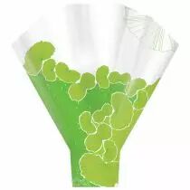 Poche Bouquet Lagon 50x44x12 Vert ( x 50 )