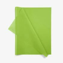 Rame Papier de Soie 17g Vert Pomme ( x 240 )