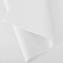 Rame Soie de Montsegur 18g x 480 Feuilles Blanc