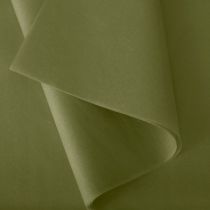 Rame Soie de Montsegur 18g x 480 Feuilles Vert Mousse