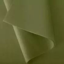 Rame Soie de Montsegur 18g x 480 Feuilles Vert Mousse
