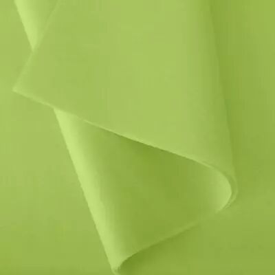Rame Soie de Montsegur 18g x 480 Feuilles Vert Pomme